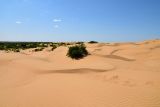 Бархан Большой Брат, image of landscape/habitat.