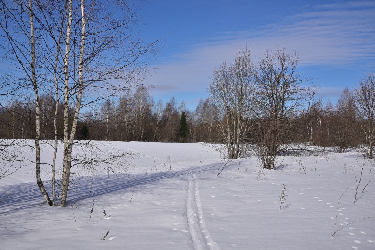 Окрестности деревни Чёлохово, изображение ландшафта.