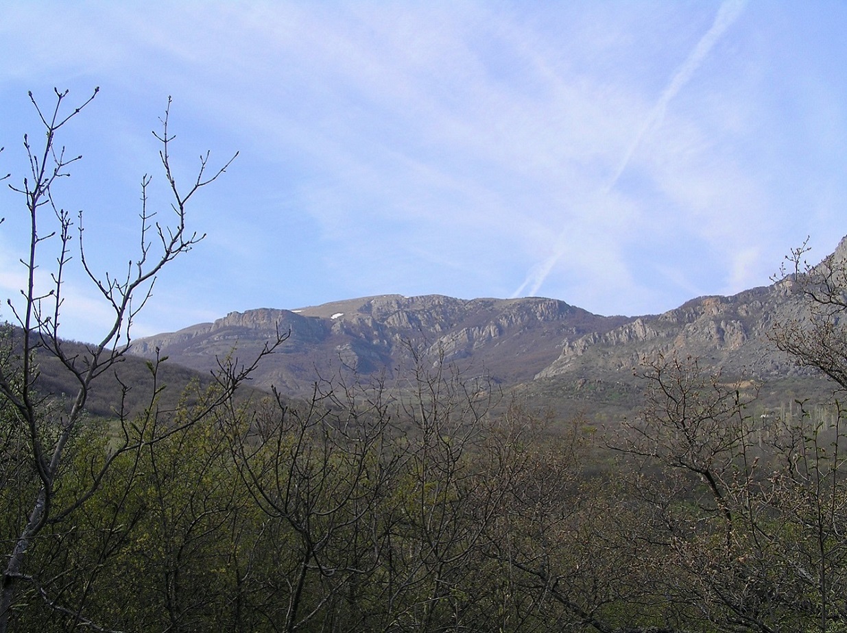 Окрестности села Лучистое, image of landscape/habitat.