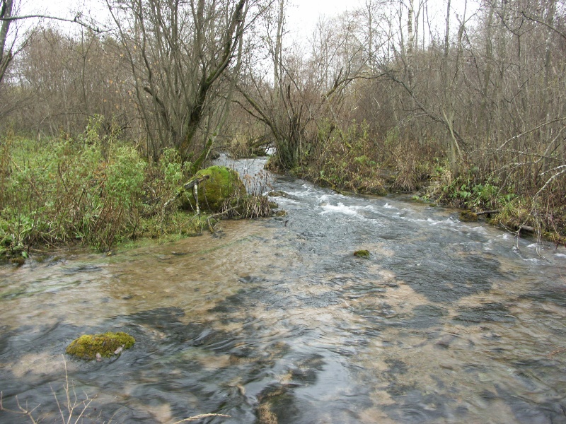 Верховья реки Шингарки, image of landscape/habitat.