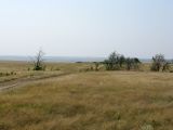 Красносулинская степь, image of landscape/habitat.