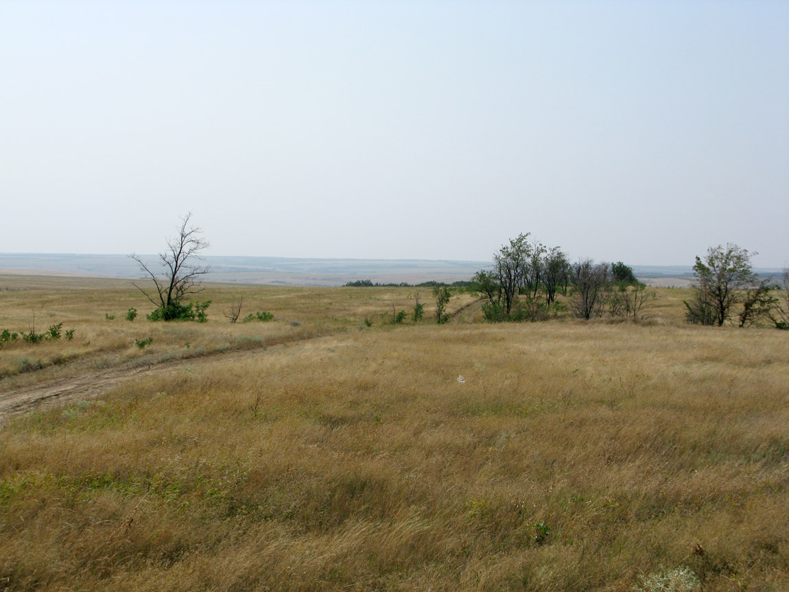 Красносулинская степь, изображение ландшафта.