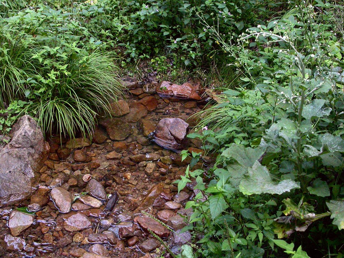 Дорога на Шамору, image of landscape/habitat.