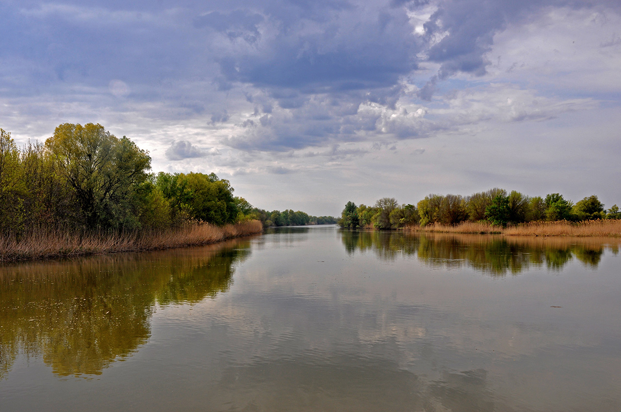 Астраханский заповедник (Дамчик), image of landscape/habitat.