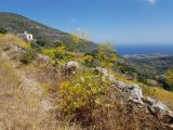 Image of landscape