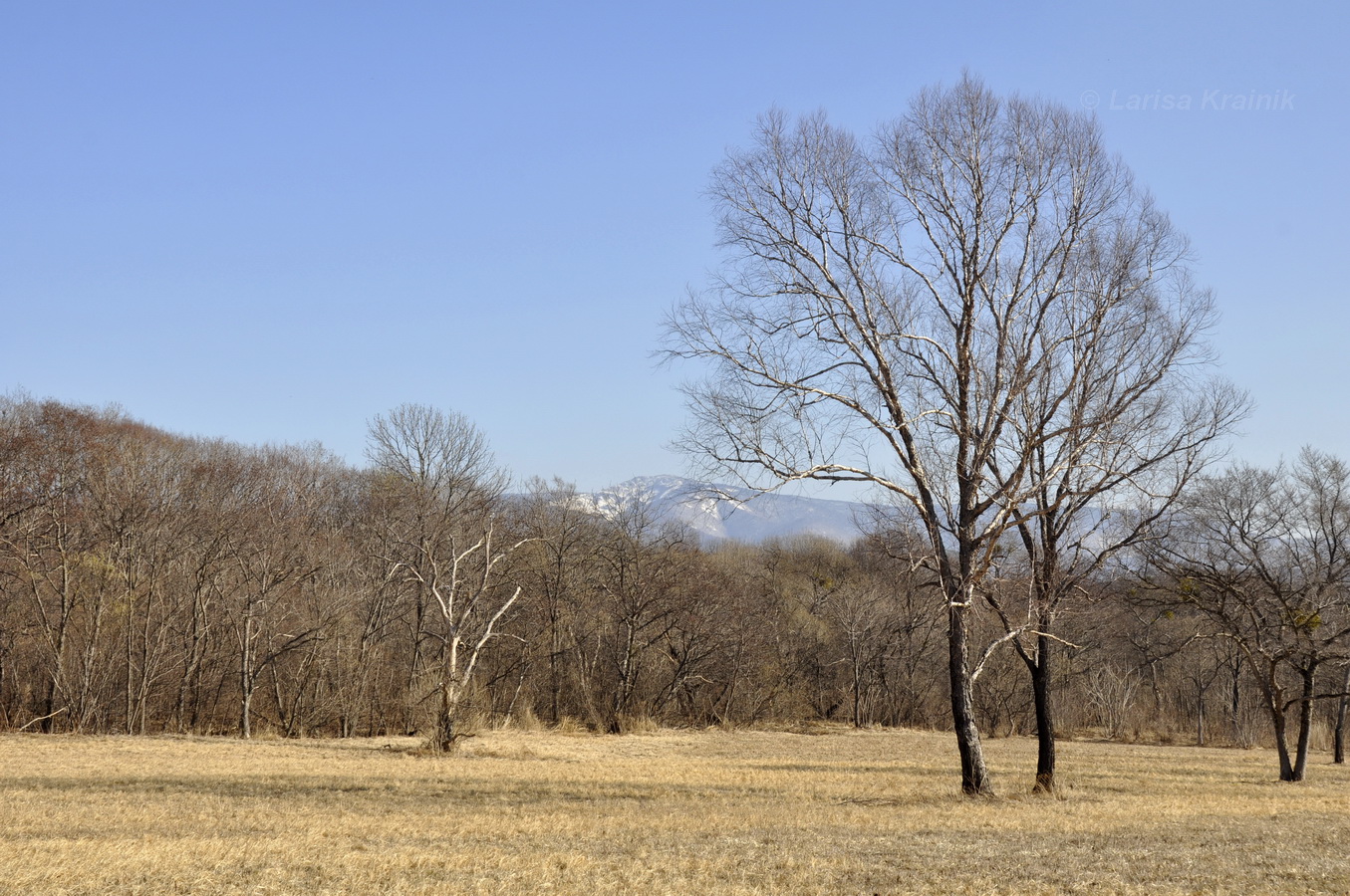 Новонежино, image of landscape/habitat.