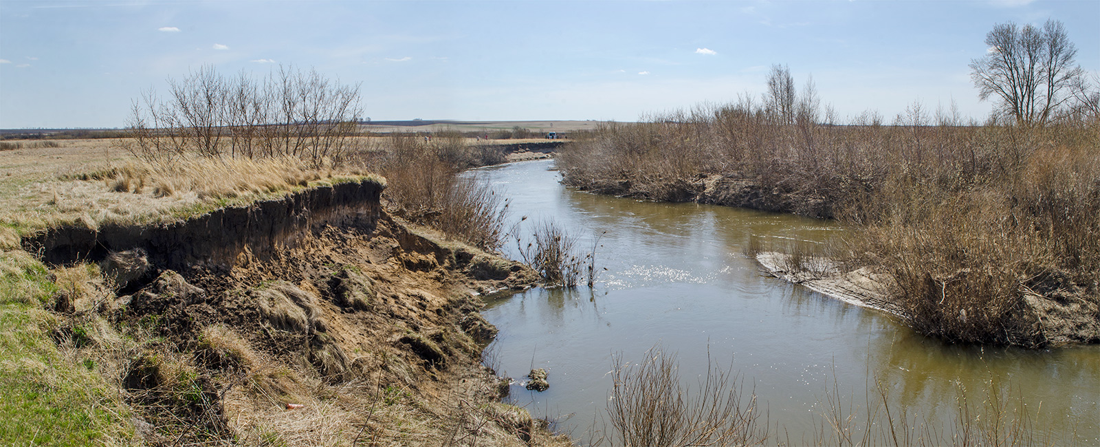 Окрестности Стрелецка, image of landscape/habitat.