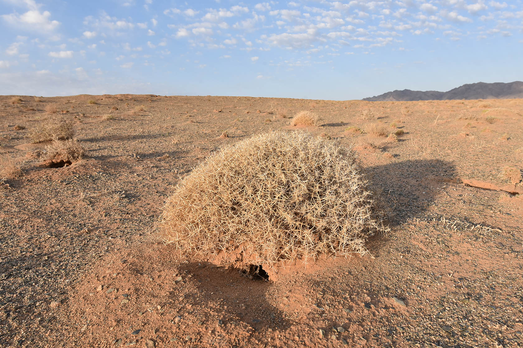 Горы Улькен-Богуты, image of landscape/habitat.