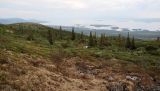 Image of landscape