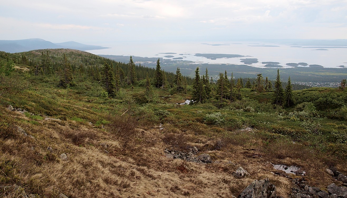 Лувеньгские Тундры, image of landscape/habitat.