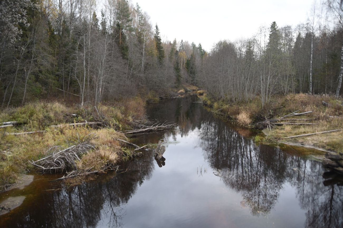 Мост через реку Сундоба, image of landscape/habitat.