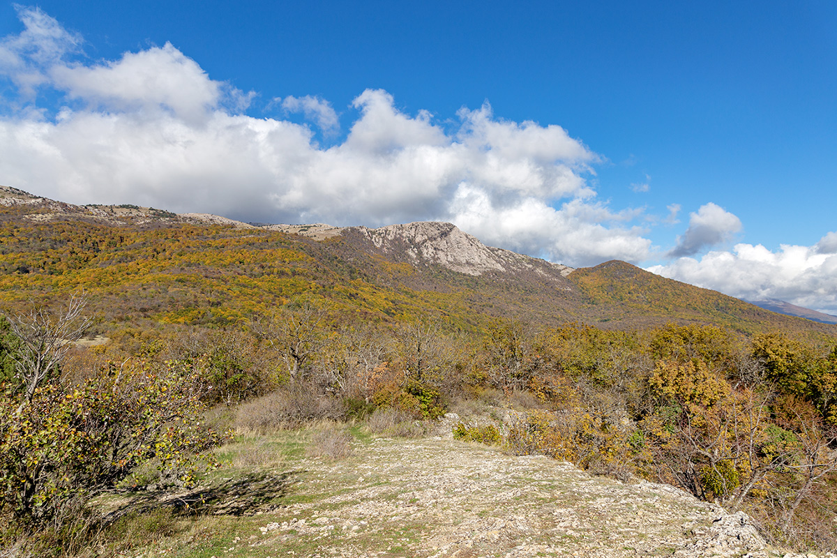 Урочище Парагильмен, image of landscape/habitat.
