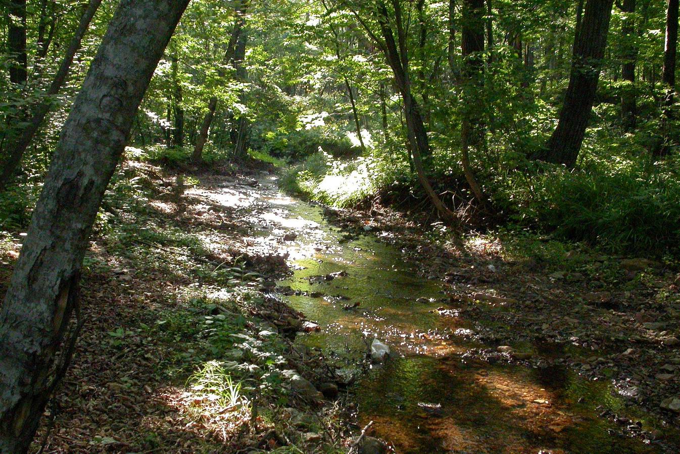 Дорога на Шамору, image of landscape/habitat.