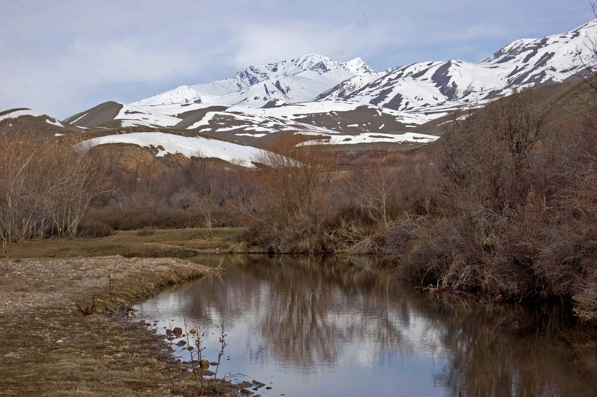 Суусамырская долина, image of landscape/habitat.