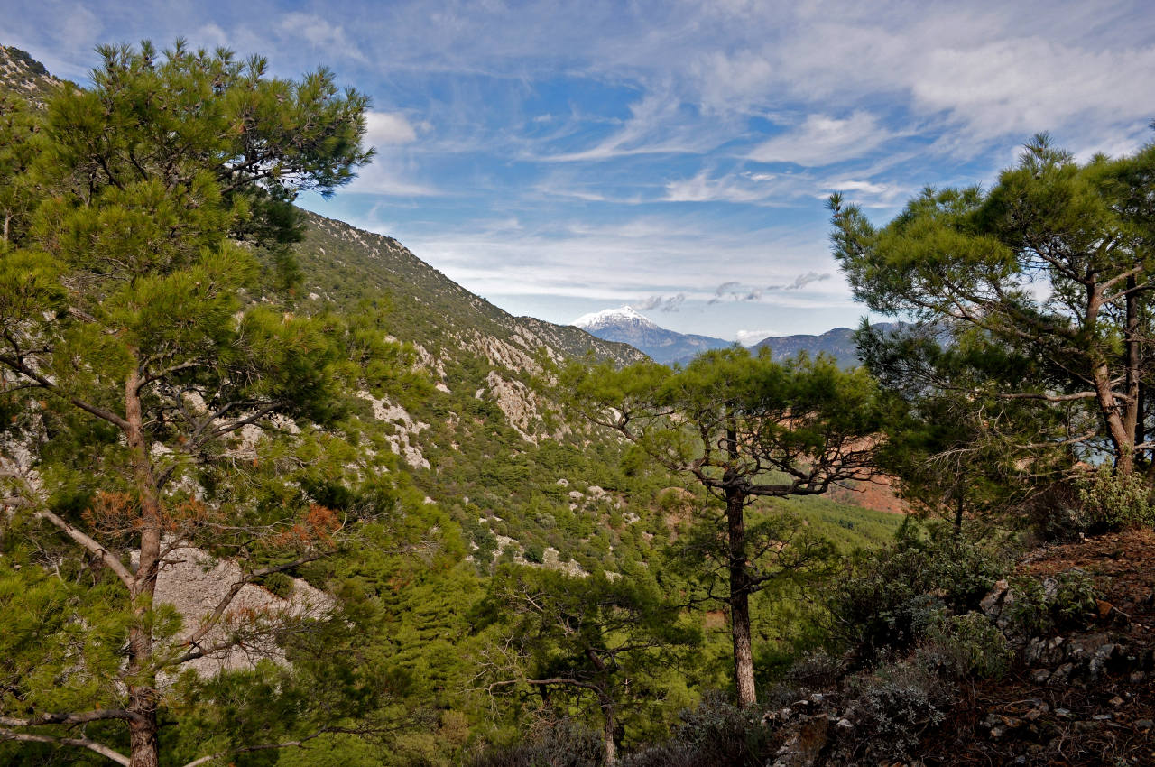 Мыс Гелидония и окрестности, image of landscape/habitat.