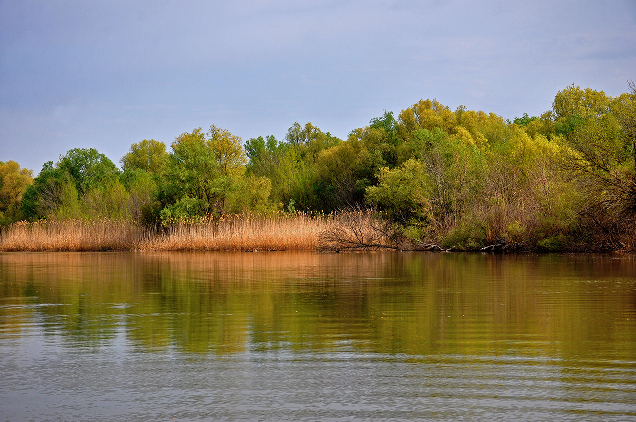 Астраханский заповедник (Дамчик), image of landscape/habitat.