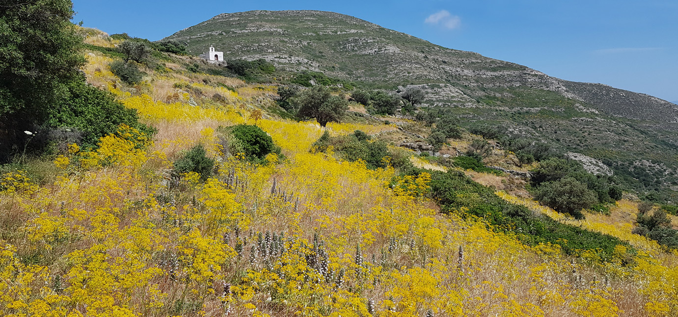 Остров Парос, image of landscape/habitat.