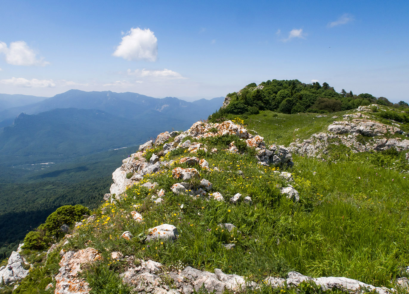 Черногор, image of landscape/habitat.