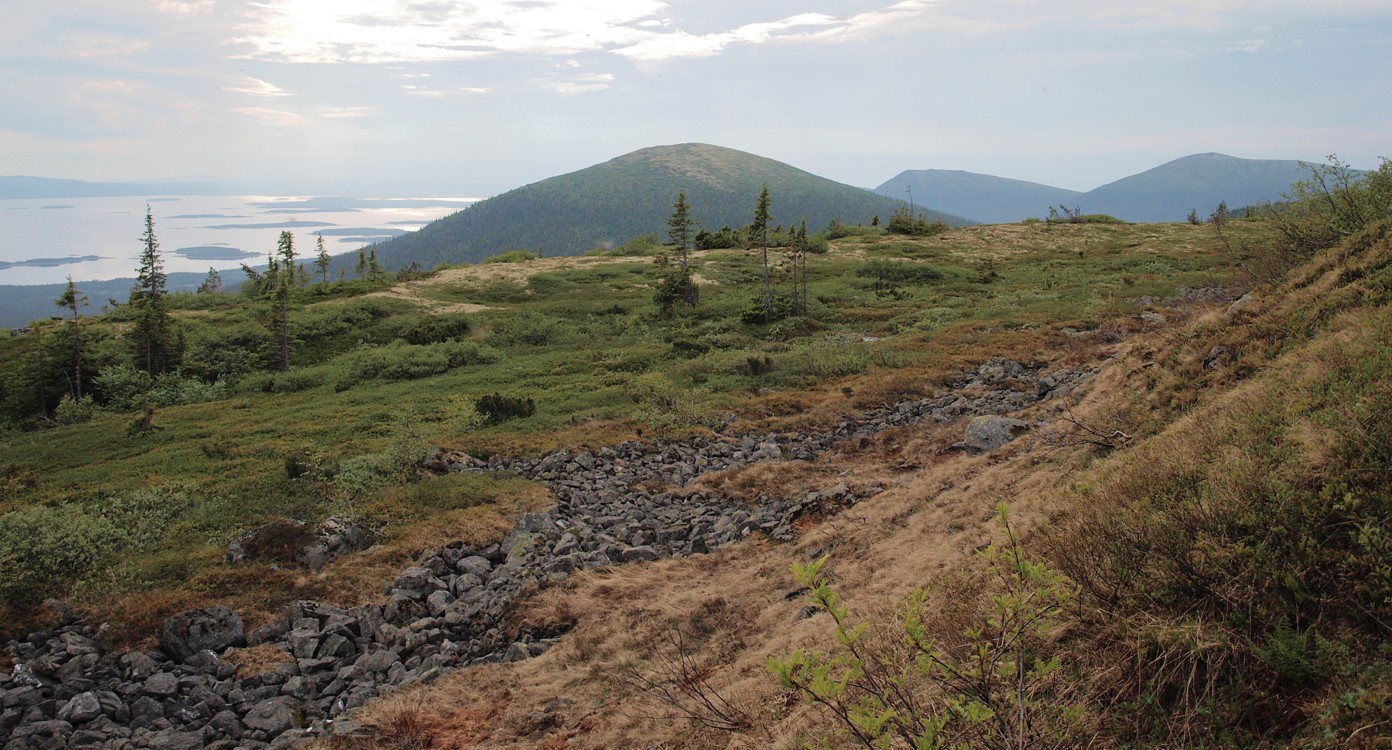 Лувеньгские Тундры, image of landscape/habitat.