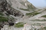 Image of landscape