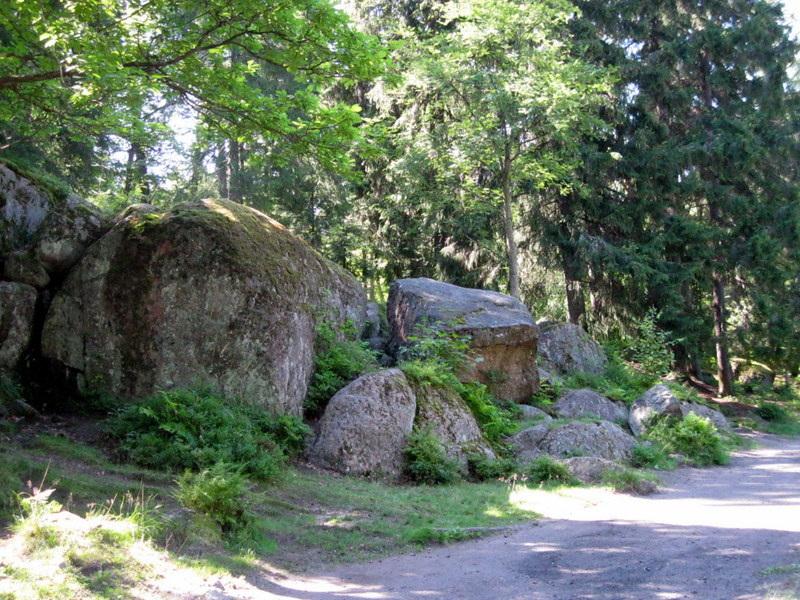 Выборг, image of landscape/habitat.