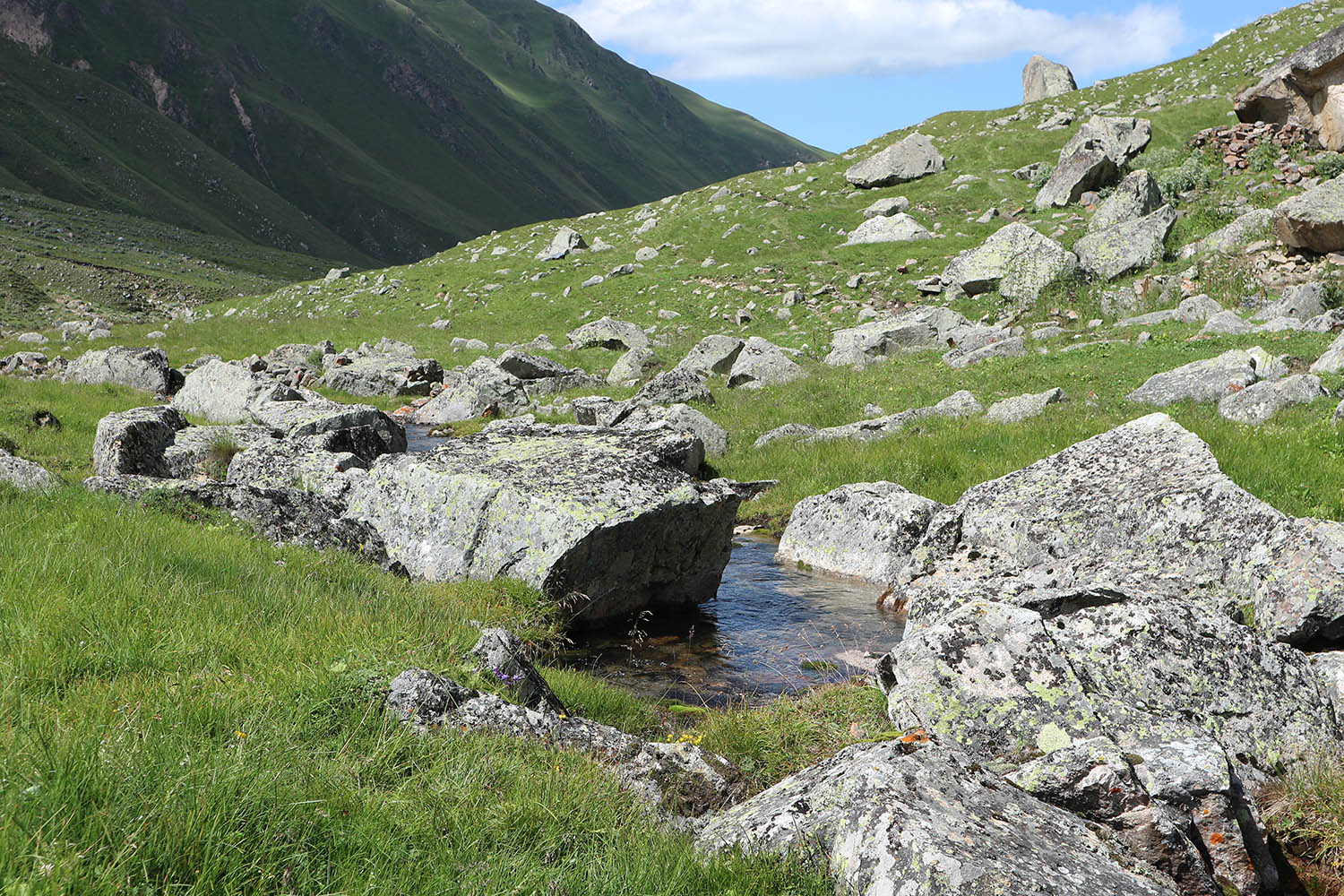 Родниковый ручей, image of landscape/habitat.