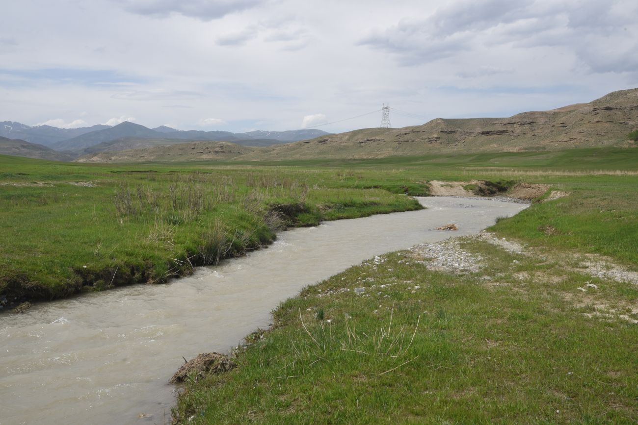 Албайрак, image of landscape/habitat.