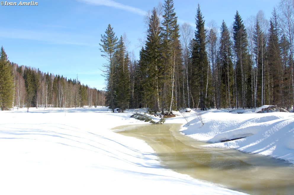 Река Солдатка, image of landscape/habitat.