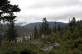 Image of landscape
