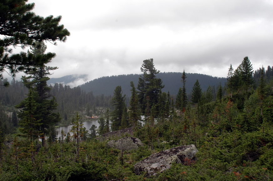 Ергаки, image of landscape/habitat.