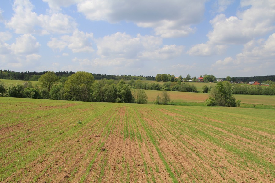 Мураново, image of landscape/habitat.