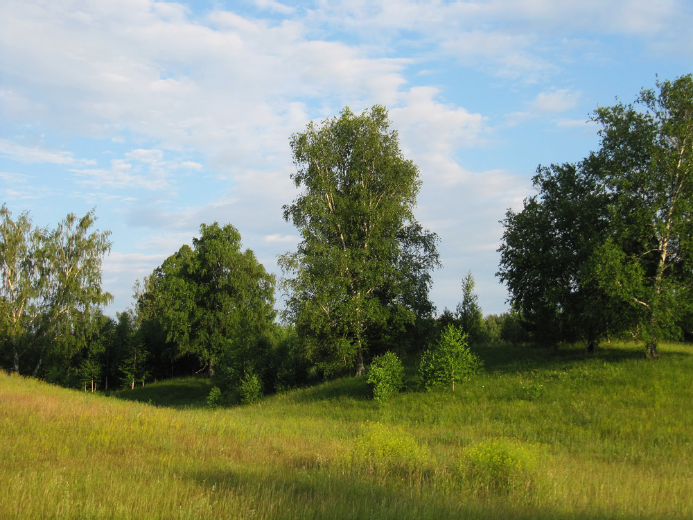 Окрестности Раифы, image of landscape/habitat.