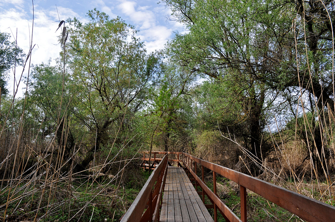 Астраханский заповедник (Дамчик), image of landscape/habitat.