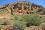 Image of landscape