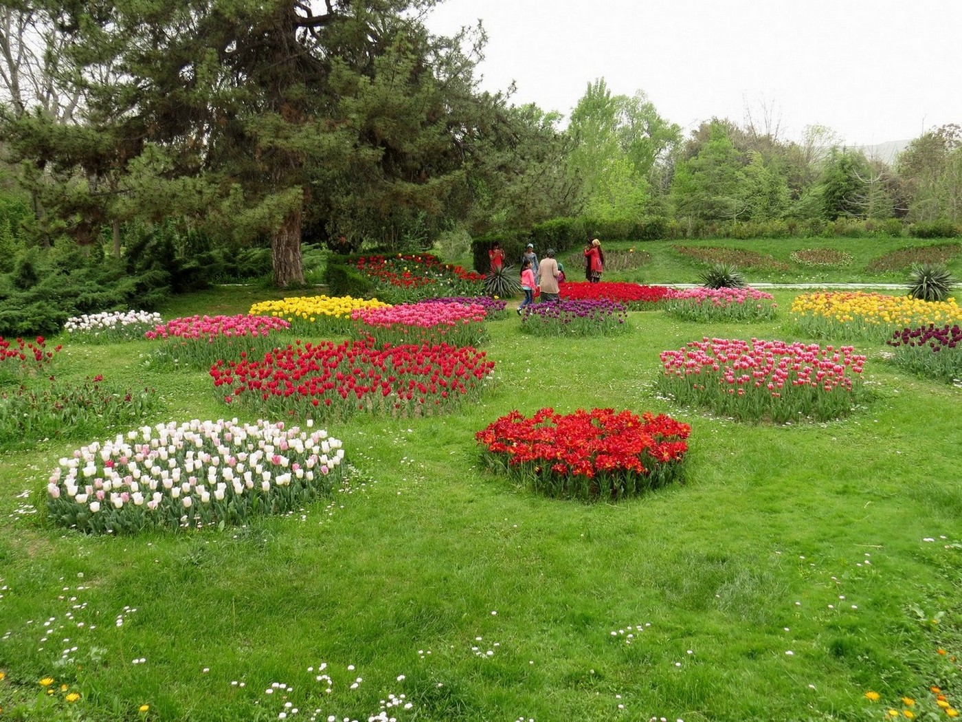 Ботанический сад Душанбе, image of landscape/habitat.