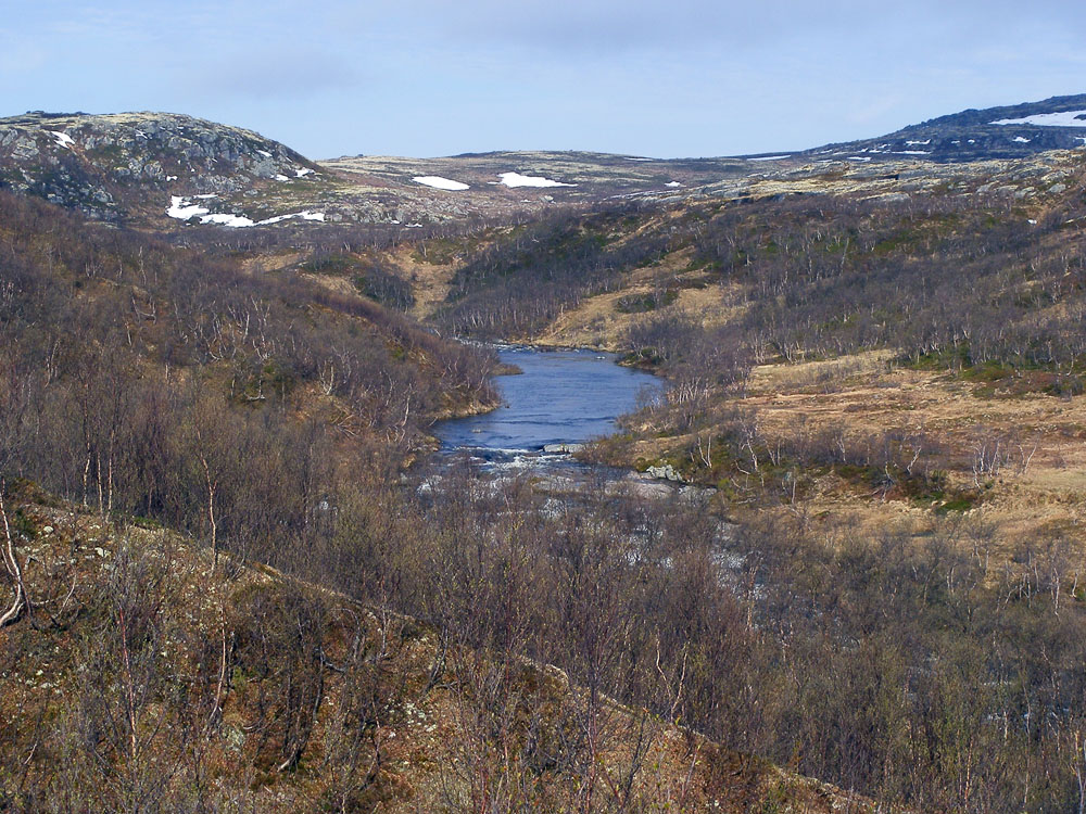 Туманный, image of landscape/habitat.