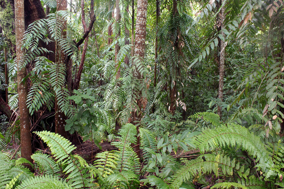 Litchfield Park, image of landscape/habitat.