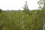 Image of landscape