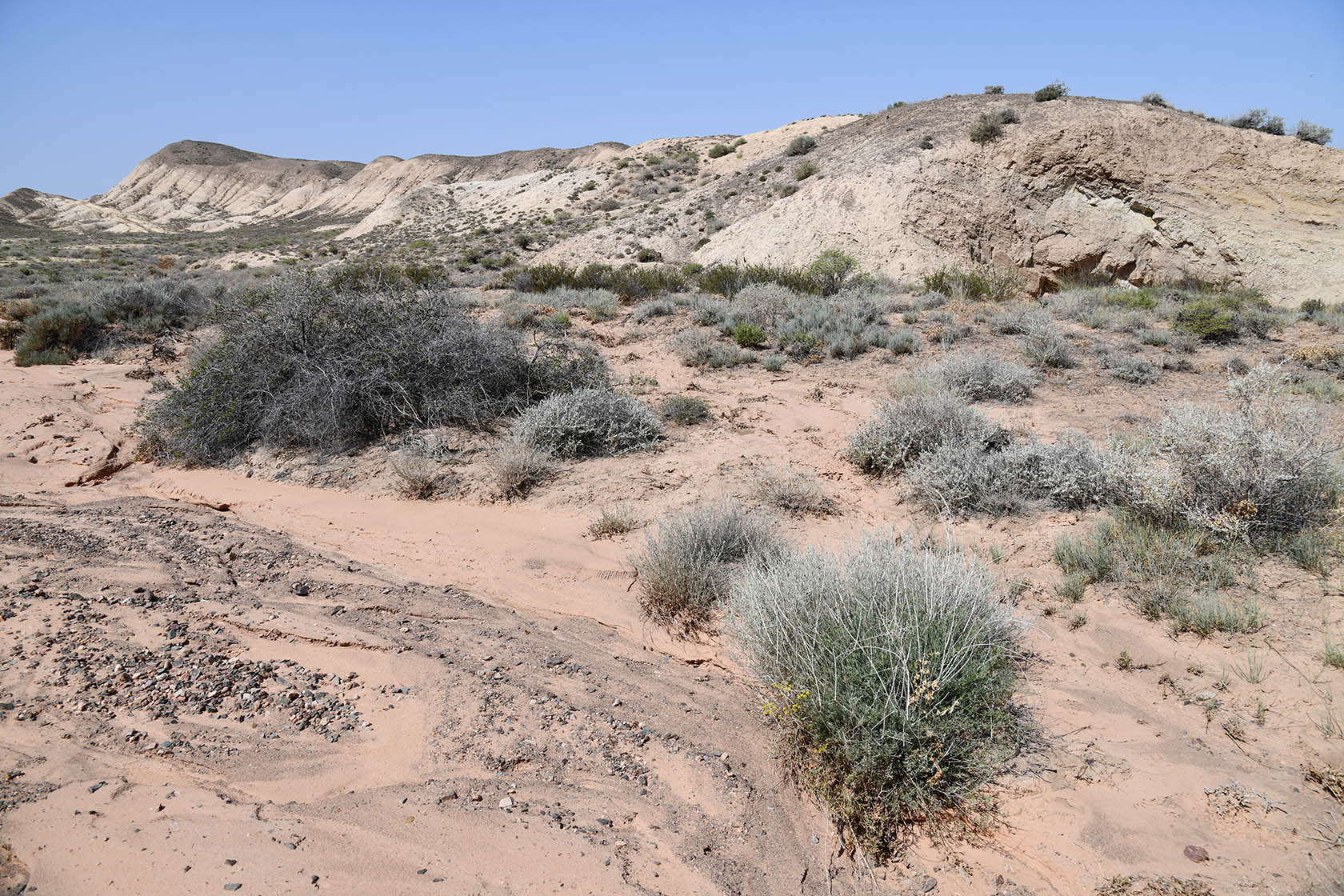 Бала-Богуты, image of landscape/habitat.