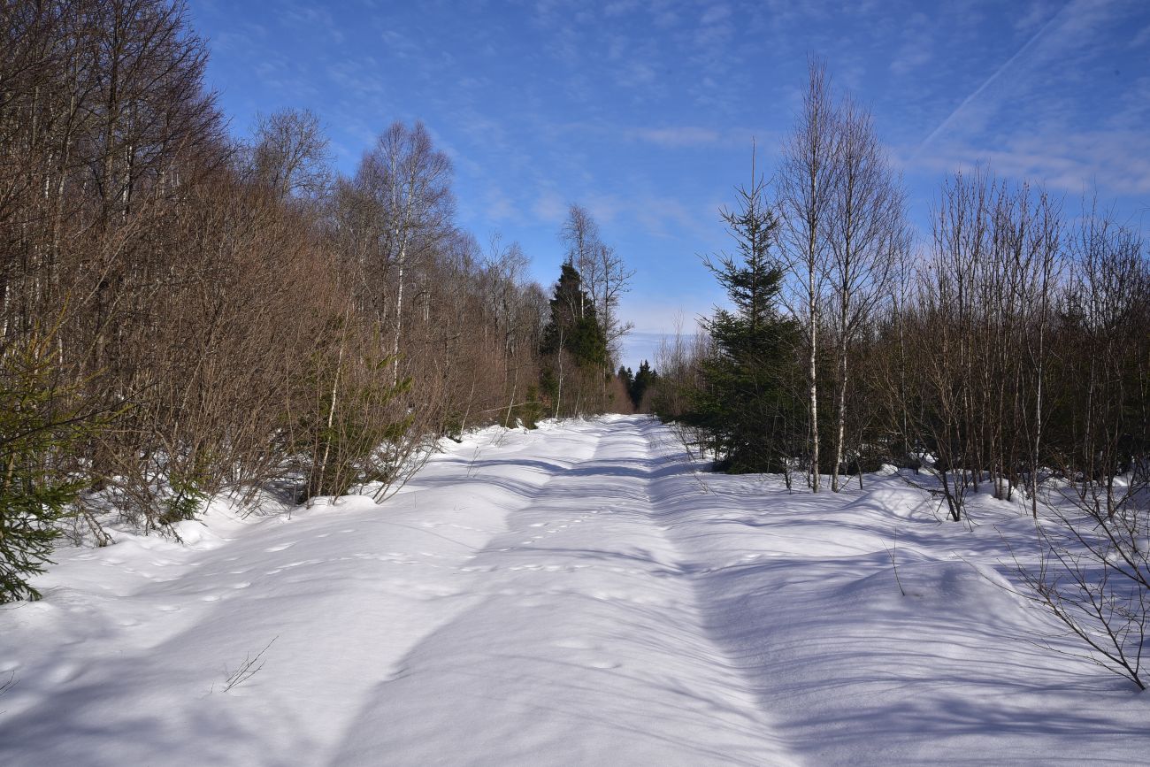 Каверино, изображение ландшафта.