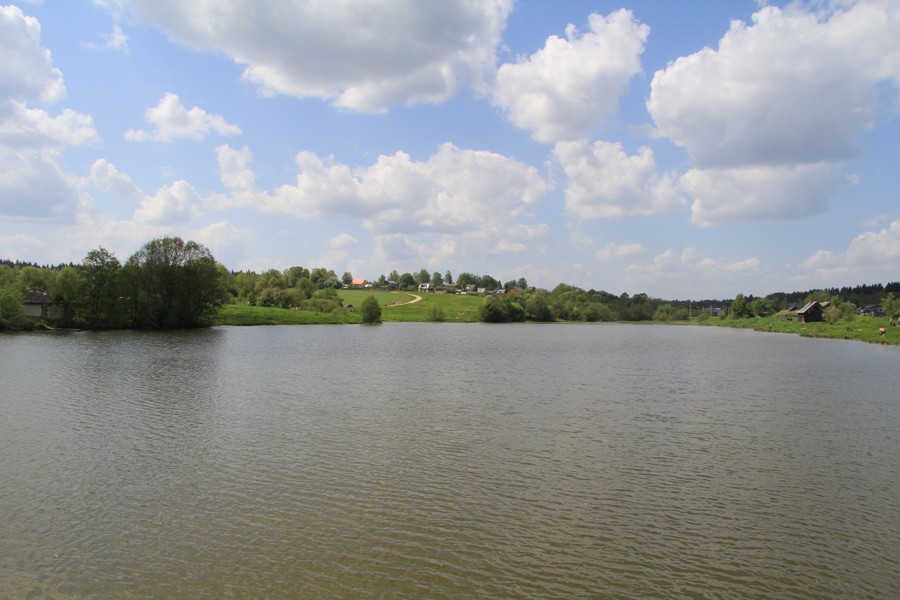 Мураново, image of landscape/habitat.