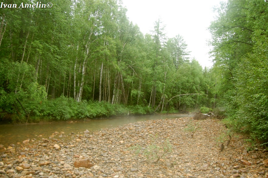 Долина реки Нижняя Конкули, image of landscape/habitat.