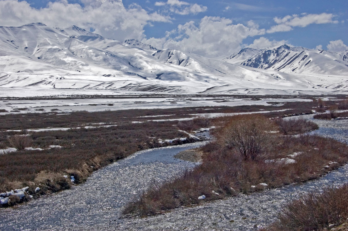 Суусамырская долина, image of landscape/habitat.