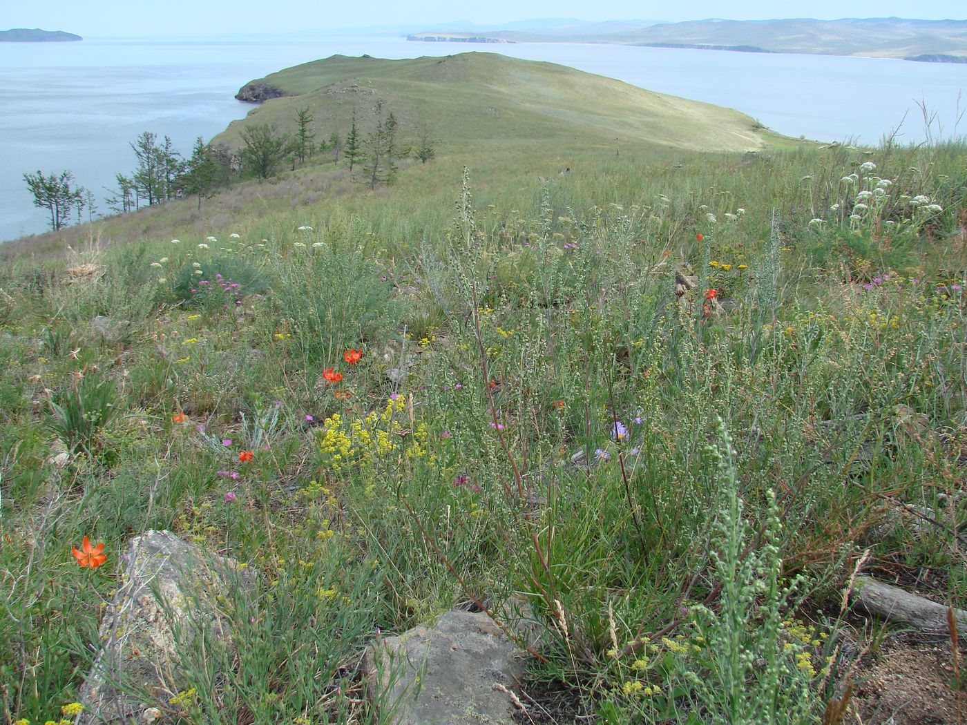 Остров Огой, image of landscape/habitat.