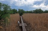 Астраханский заповедник (Дамчик), image of landscape/habitat.