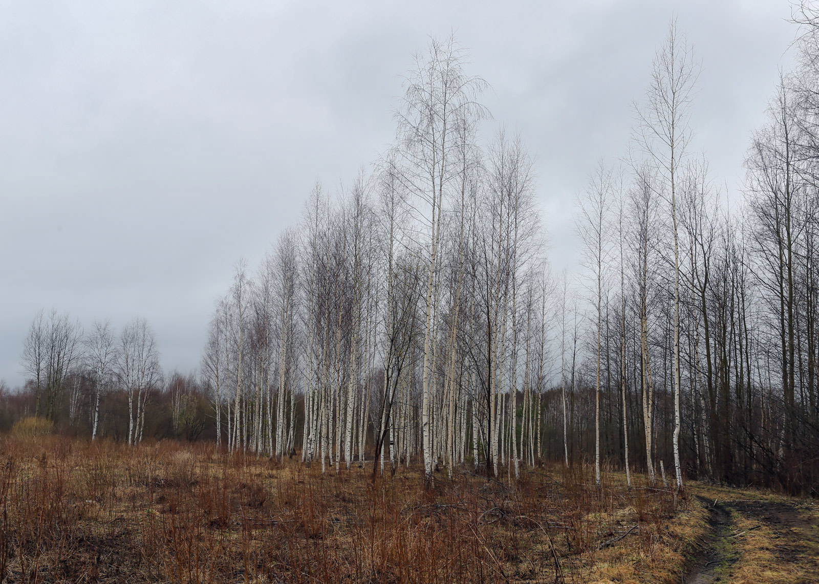 Закамск, image of landscape/habitat.