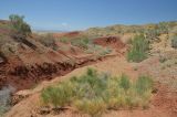 Горы Актау (Алтын-Эмель), image of landscape/habitat.