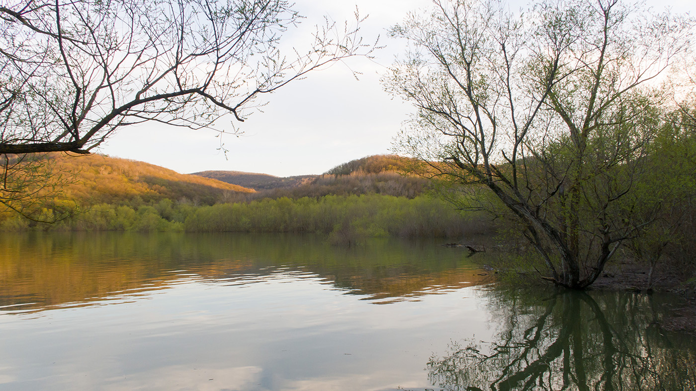 Неберджаевское водохранилище, изображение ландшафта.