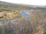 Image of landscape