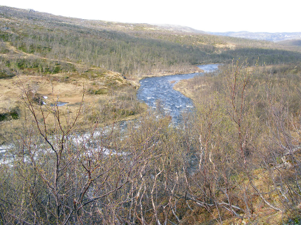 Туманный, image of landscape/habitat.